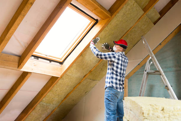 Professional Insulation Services in Goldsby, OK